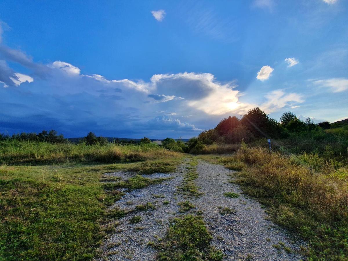 Ferienwohnung Am Sonnigen Haimberg ฟุลดา ภายนอก รูปภาพ