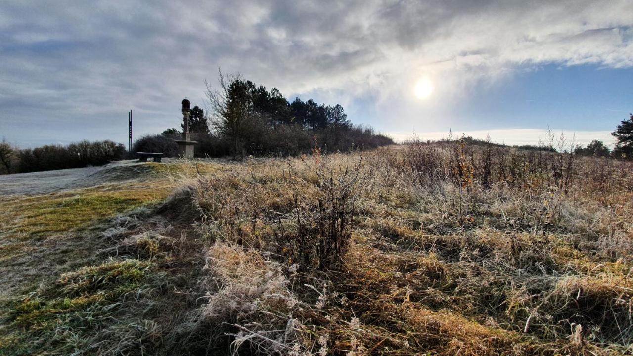 Ferienwohnung Am Sonnigen Haimberg ฟุลดา ภายนอก รูปภาพ
